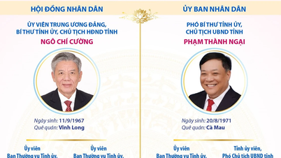 Posisi kepemimpinan kunci di provinsi Dong Thap untuk periode 2026-2031.