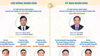Posisi kepemimpinan kunci di Kota Ho Chi Minh untuk periode 2026-2031.