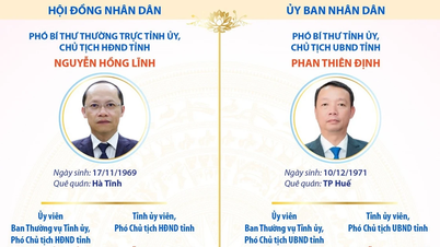 Puestos clave de liderazgo en la provincia de Ha Tinh para el período 2026-2031.