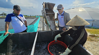 Het verbeteren van de efficiëntie van aquacultuur