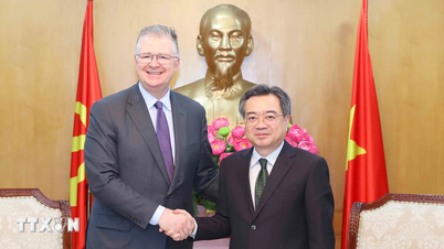 Le chef du département des politiques et de la stratégie du Comité central reçoit un membre du conseil d'administration du groupe Asia.