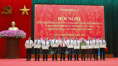 Сон Ла забезпечує ефективне функціонування урядового апарату після виборів.