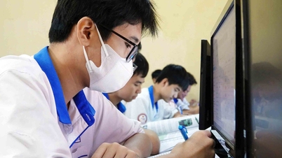 Vietnamlı öğrenciler neden çok matematik çalışıyorlar ama veri analizinde zayıflar?