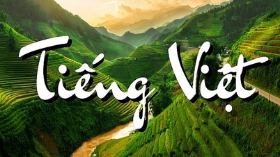 Ter gelegenheid van de Dag ter ere van de Vietnamese taal werden tal van activiteiten georganiseerd.