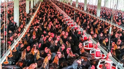 Het bevorderen van de toepassing van wetenschap en technologie in de veehouderij.