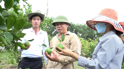 ការផលិតប្រកបដោយសុវត្ថិភាព បង្កើនតម្លៃផលិតផលកសិកម្ម។