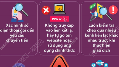 Aflați despre regulile pentru prevenirea fraudelor online.