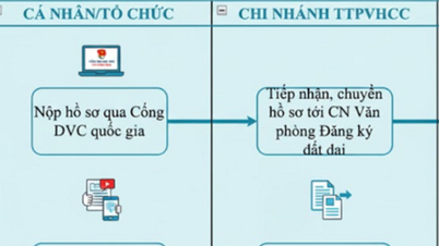 Notícia especial no jornal Hanoi Moi, 31 de março de 2026.