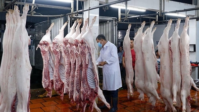 The Prime Minister has ordered a nationwide crackdown on slaughterhouse control.