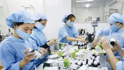New procedures have been issued for granting Certificates of Food Safety Compliance to establishments meeting Good Manufacturing Practice (GMP) requirements for health supplements.