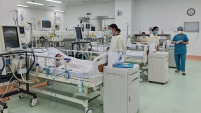Virusul EV71 atacă sistemul nervos al copiilor cu boala mână-gură-picior.