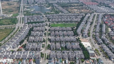 Magnații aurului și argintului, care se aventurează în industrii fără legătură, obțin profit ușor în domeniul imobiliar.