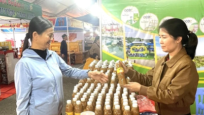 ការអភិវឌ្ឍកម្មសិទ្ធិបញ្ញា - លើកកម្ពស់រូបភាពម៉ាកយីហោផលិតផល។