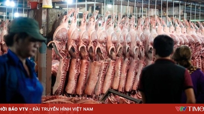 Perdana Menteri telah mengarahkan pengawasan yang lebih ketat terhadap penyembelihan hewan ternak dan penindakan terhadap daging yang terkontaminasi yang masuk ke pasar.