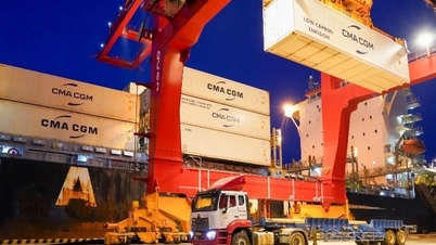 Thilogi optimaliseert koelketenoplossingen voor de export van vers fruit.