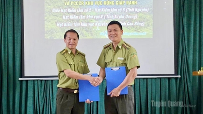 Coordinate forest protection efforts in the border area between Tuyen Quang and Thai Nguyen provinces.