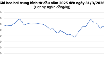 Preços da carne suína hoje, 31 de março: Mercado em queda generalizada, preço mais baixo a 60.000 VND/kg.