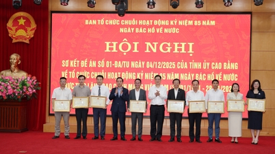 Sammanfattning av projekt nr 01 från den provinsiella partikommittén om att organisera en serie aktiviteter för att fira 85-årsdagen av president Ho Chi Minhs återkomst till Vietnam för att direkt leda den vietnamesiska revolutionen.