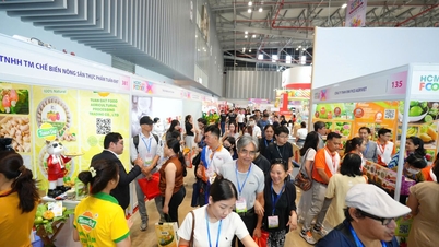 2026年のホーチミン市フードエキスポでは、最高級のベトナム料理が集結します。