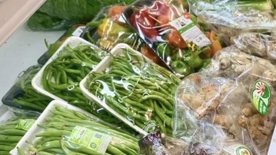 Chancen für Obst- und Gemüseexporte im Wert von 10 Milliarden Dollar und die Notwendigkeit, die Qualitäts- und Verpackungsstandards zu erhöhen.
