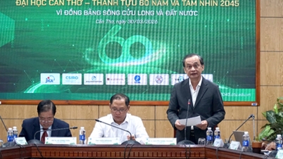 Can Tho University: 60 år av utveckling och vision som ett centrum för innovation i Mekongdeltat