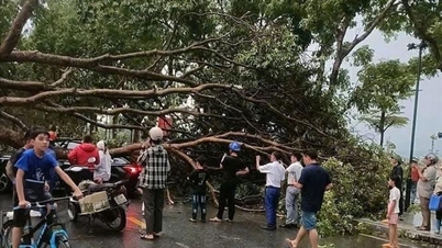 Proactively respond to thunderstorms, tornadoes, lightning, and hailstorms during the transitional season.