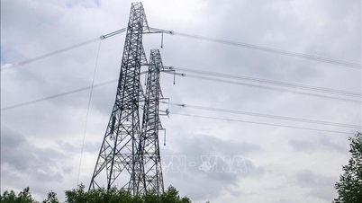 Ninh Binh fullfører raskt rydding av land for 500/220 kV kraftledningsprosjektet.