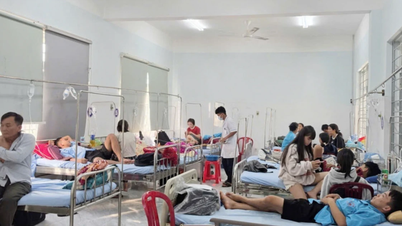 Food traceability investigation into the case of multiple people hospitalized after eating bread in Dak Lak.