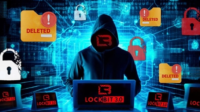 Mantener la ciberseguridad desde la raíz.