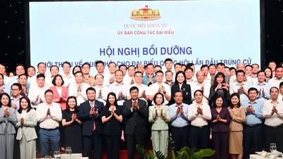 A vice-presidente da Assembleia Nacional, Nguyen Thi Thanh, participou da conferência de treinamento "Introdução à Assembleia Nacional para os recém-eleitos deputados da Assembleia Nacional".