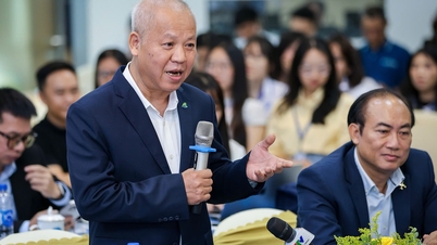 Bamboo Airways will prioritize domestic and short-haul flights to cope with the fuel price surge.