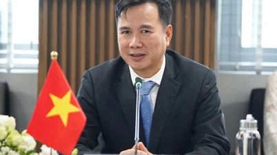 Comrade Bui The Duy holds the position of Director of Hanoi National University.