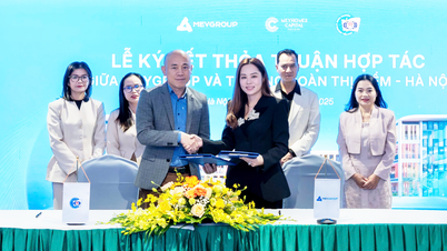 សាលាបឋមសិក្សា Meyschool Doan Thi Diem Phu Quoc កំពុងបើកថ្នាក់មត្តេយ្យសិក្សា ដើម្បីរៀបចំសិស្សសម្រាប់ថ្នាក់ទី 1 ក្នុងឆ្នាំសិក្សា 2026-2027។