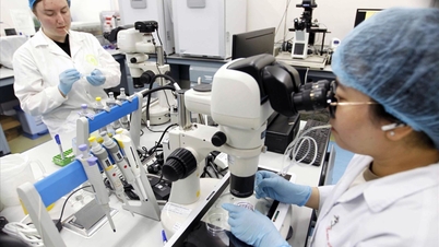 Alocar recursos suficientes e acelerar o desembolso para ciência, tecnologia e transformação digital.
