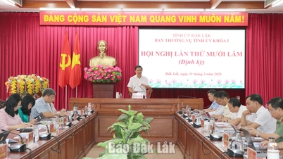 15th Conference of the Provincial Party Standing Committee: Innovating governance, creating breakthroughs, and using results as a measure of success.