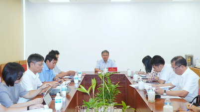 Urgently resolve obstacles for stalled projects.