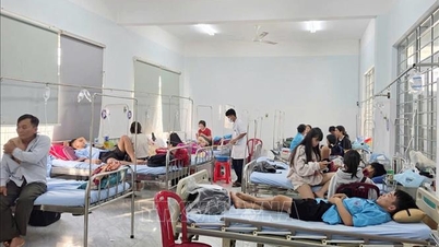 ডাক লাকে খাদ্যে বিষক্রিয়ার অভিযোগে কিউএইচ বেকারির কার্যক্রম সাময়িকভাবে স্থগিত করা হয়েছে।