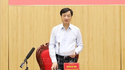 A través del borrador del informe sobre los resultados de la primera inspección y supervisión del Comité Permanente del Comité Provincial del Partido de Ninh Binh.