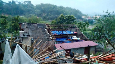ঝড় ও প্রবল বাতাসে উত্তর থাই নগুয়েনে ক্ষয়ক্ষতি হয়েছে।
