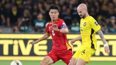 FIFA menarik perhatian menjelang perlawanan Vietnam menentang Malaysia di Stadium Thien Truong.