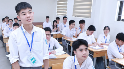 'Racing' for university admission through aptitude tests: Candidates need to be cautious.