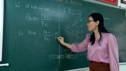 Phu Tho province is recruiting over 1,300 education officials.