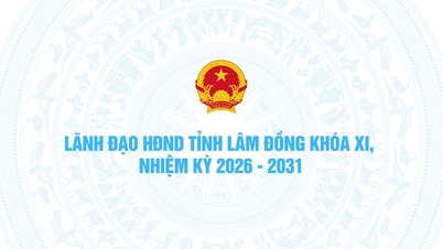 لام ڈونگ صوبائی عوامی کونسل کے چیئرمین اور 6 نائب چیئرمین، 11ویں مدت، 2026-2031