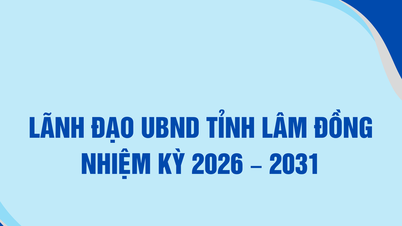 Chairman and 6 Vice-Chairmen of the Lam Dong Provincial People's Committee for the 2026-2031 term.