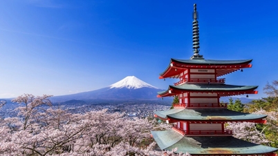 Het aantal Vietnamese toeristen dat Japan bezocht, is in februari gedaald.