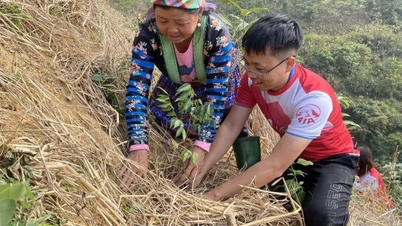 Sung A Cai: Fra skogplanting til å skape levebrød for folk i høylandet.