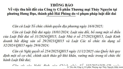 Hai Phong: Over 2200 kvadratmeter land som tilhører Thuy Nguyen Trading Joint Stock Company er blitt gjenvunnet.