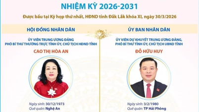 Kluczowe stanowiska kierownicze Rady Ludowej i Komitetu Ludowego prowincji Dak Lak w kadencji 2026–2031.