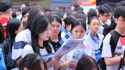 University Admissions 2026: Concerns surrounding the minimum score requirement.
