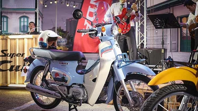 De Honda Super Cub Fujisan Limited Edition is in Vietnam verkrijgbaar voor een prijs van meer dan 120 miljoen VND.